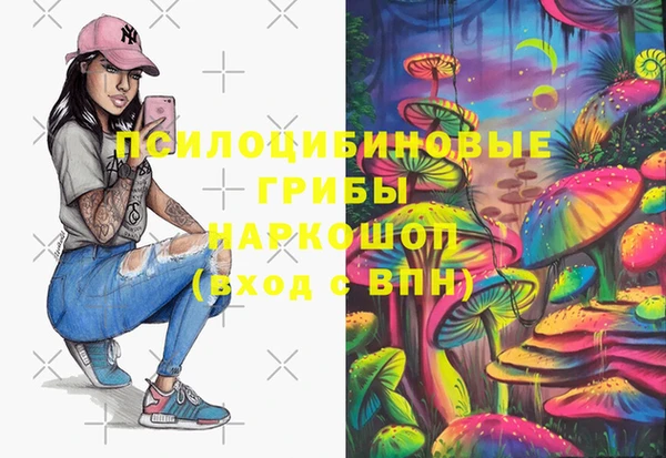 ГАЛЛЮЦИНОГЕННЫЕ ГРИБЫ Богородицк