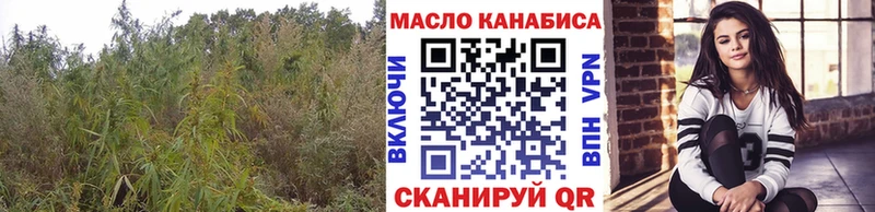 где купить наркоту  blacksprut зеркало  ТГК вейп с тгк  Волосово 